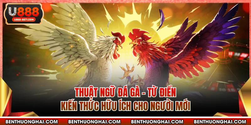 Thuật Ngữ Đá Gà - Từ Điển Kiến Thức Hữu Ích Cho Người Mới